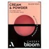 ABSOLUTE NEW YORK CHEEKY BLOOM DUO CREME ET POUDRE 01