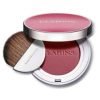 CLARINS TEINT JOLI BLUSH 04
