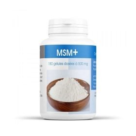 GPH MSM 180 GELULES DOSEES A 500 MG