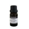 JERRAFLORE HUILE ESSENTIELLE EUCALUPTUS GLOBUS 10 ML