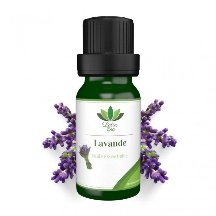 LOTUS BIO HUILE ESSENTIELLE DE LAVANDE